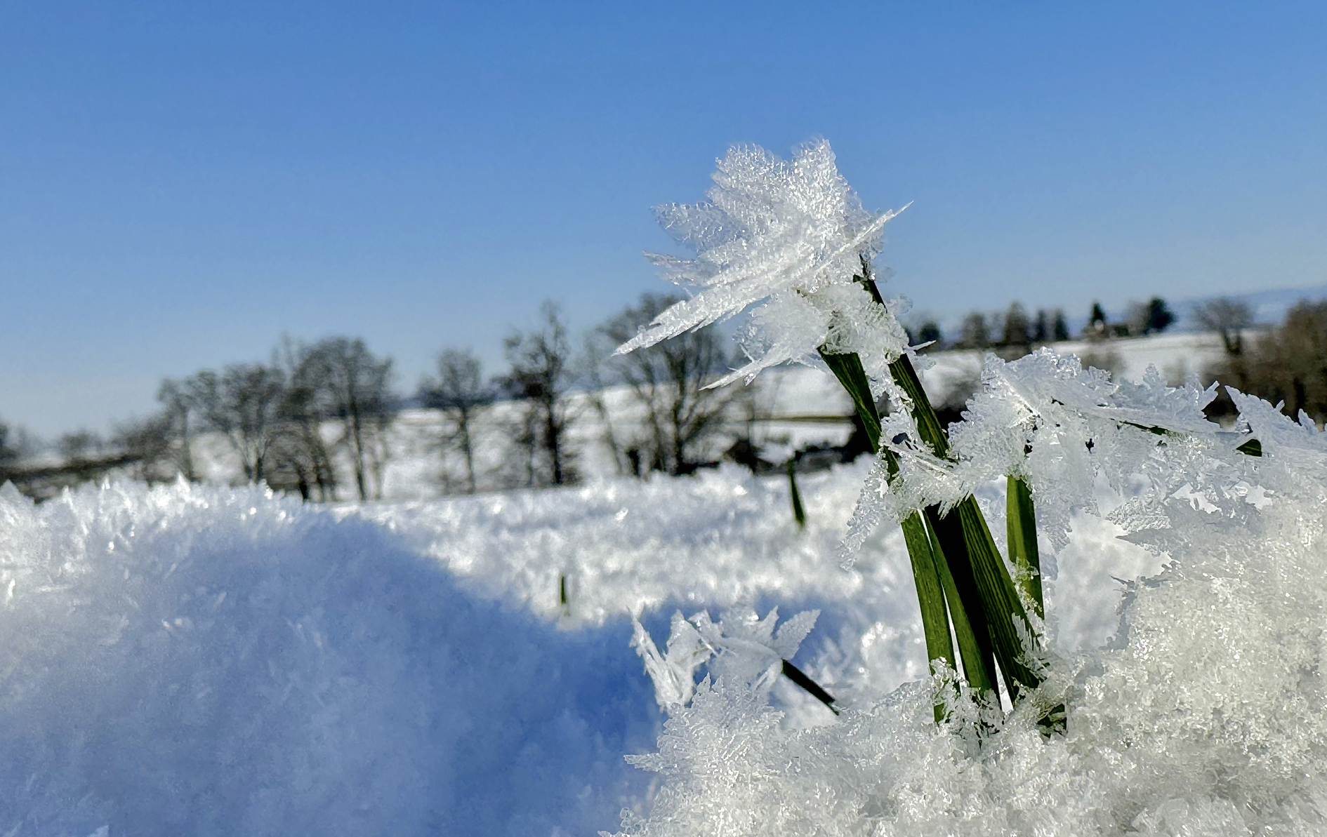 Calendrier Kalender / Janvier Januar 2025